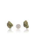 Premium Flower