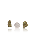 Budget Flower