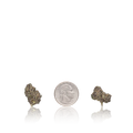 Bulk Exotic Smalls