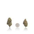 Value Flower