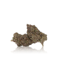 Exotic Flower