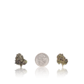 Exotic Smalls