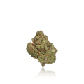 Budget Flower