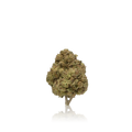Budget Flower