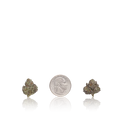 Bulk Exotic Smalls