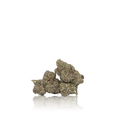Exotic Flower
