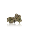 Exotic Flower