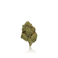 Bulk Premium