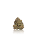 Bulk Budget