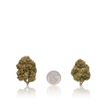 Budget Flower