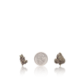 Bulk Exotic Smalls