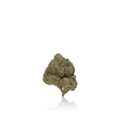 Budget Flower