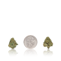 Premium Smalls