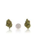 Bulk Premium