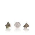Exotic Smalls