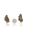 Premium Flower
