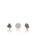 Bulk Exotic Smalls