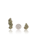 Premium Flower