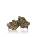 Exotic Flower