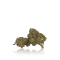 Budget Flower