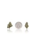Bulk Exotic Smalls