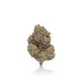 Exotic Flower