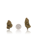 Budget Flower