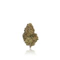 Budget Flower