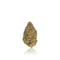 Budget Flower
