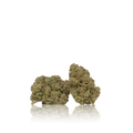 Exotic Flower