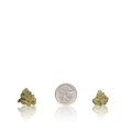 Exotic Smalls