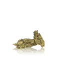 Budget Flower