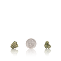 Exotic Smalls