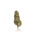 Budget Flower