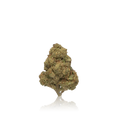 Budget Flower