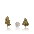 Budget Flower
