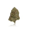 Bulk Premium