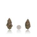 Bulk Exotic