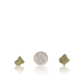 Bulk Premium Smalls
