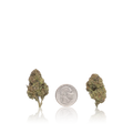 Bulk Value