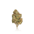 Budget Flower