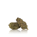 Budget Flower