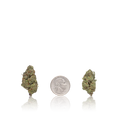 Value Flower