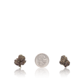 Bulk Exotic Smalls
