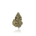 Bulk Premium