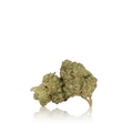 Bulk Budget