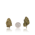 Budget Flower