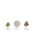 Exotic Smalls