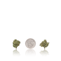 Exotic Smalls