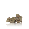 Exotic Flower